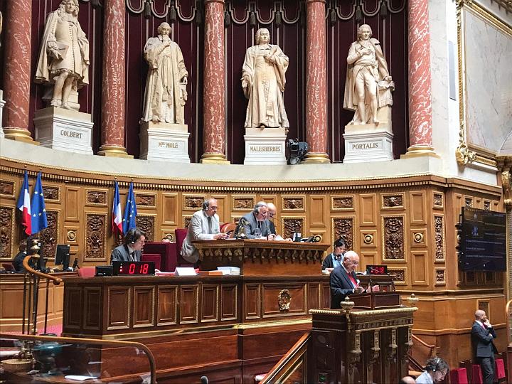 Réunion des Sénats d'Europe, Paris, 13-15 juin 2019