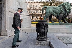 La crmonie officielle  la Tombe du Soldat Inconnu  Bruxelles