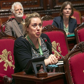 Le Snat vote deux lois spciales relatives  un nombre de parlements des entits fdres