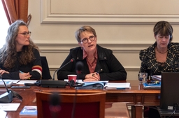 Onderzoeksrapport Ruimte voor mensenrechtenverdedigers in België