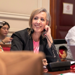 3 resoluties besproken in commissie