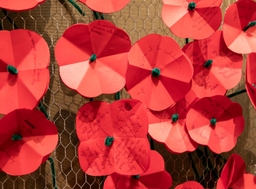 Wapenstilstand herdacht in het Federaal Parlement