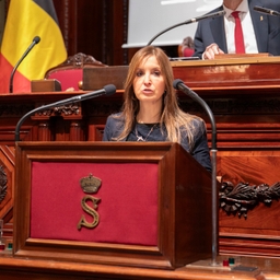 Herziening artikel 195 van de Grondwet goedgekeurd - plenaire vergadering 3/04/2026