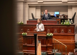 Koningsdag in het Federaal Parlement
