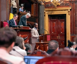 De Senaat keurt een resolutie goed over de situatie in Oost-Congo
