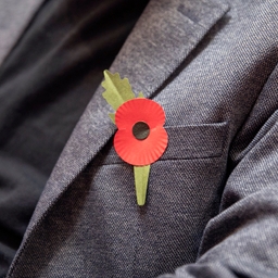 Wapenstilstand herdacht in het Federaal Parlement