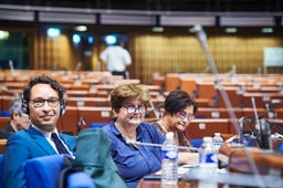 Zomerzitting van de Parlementaire Assemblee van de Raad van Europa