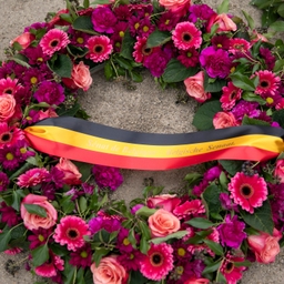 Wapenstilstand herdacht in het Federaal Parlement