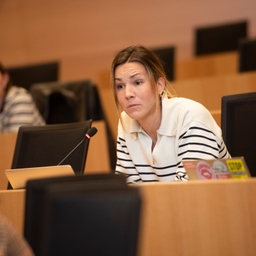 Het jaarverslag 2024 van de Europese Rekenkamer over de EU-begroting