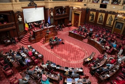 Herziening artikel 195 van de Grondwet goedgekeurd - plenaire vergadering 3/04/2026