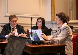 3 resoluties besproken in commissie