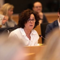 Gedachtewisseling met de premier over de Europese Raad