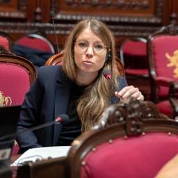 Herziening artikel 195 van de Grondwet goedgekeurd - plenaire vergadering 3/04/2026