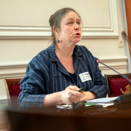 Nieuwe hoorzitting over carpoolnetwerken