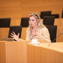 Het jaarverslag 2024 van de Europese Rekenkamer over de EU-begroting