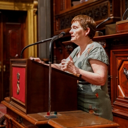 Plenaire zitting van 20 juni 2025