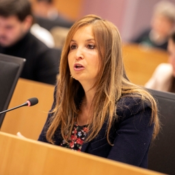 Gedachtewisseling met de premier over Europese toppen