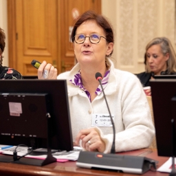 Hoorzitting over de beroepsintegratie van alleenstaande ouders op de arbeidsmarkt