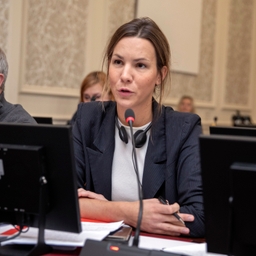 Grondwetsherziening besproken in de Commissie Institutionele Aangelegenheden