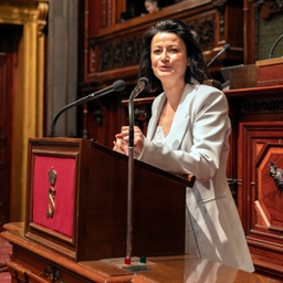 Resolutie over borstkanker aangenomen