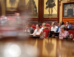 Plenaire zitting van 20 juni 2025