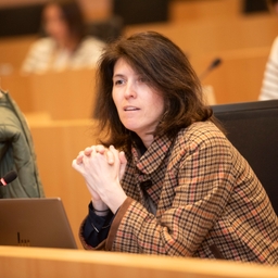 Het jaarverslag 2024 van de Europese Rekenkamer over de EU-begroting