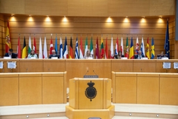 Conferentie inzake stabiliteit, economische coördinatie en bestuur in de EU