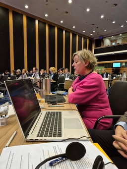 Interparlementaire vergadering over kunstmatige intelligentie