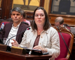 Herziening artikel 195 van de Grondwet goedgekeurd - plenaire vergadering 3/04/2026