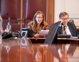 3 resoluties besproken in commissie