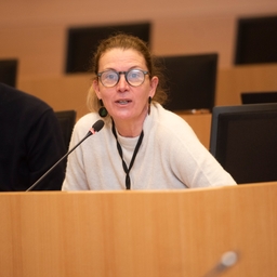 Het jaarverslag 2024 van de Europese Rekenkamer over de EU-begroting