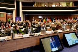 Interparlementaire vergadering over kunstmatige intelligentie