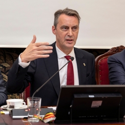 Herziening artikel 195 van de Grondwet