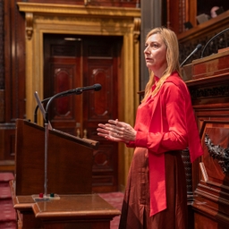 Herziening artikel 195 van de Grondwet goedgekeurd - plenaire vergadering 3/04/2026