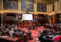 Herziening artikel 195 van de Grondwet goedgekeurd - plenaire vergadering 3/04/2026