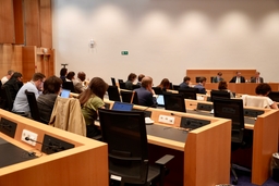 Les Conseils européens de mars à juin 2025