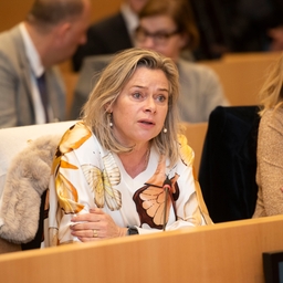 Gedachtewisseling met de premier over de Europese Raad