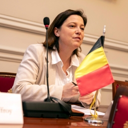 Ambassadeurs van de Noordse landen op bezoek in de Senaat