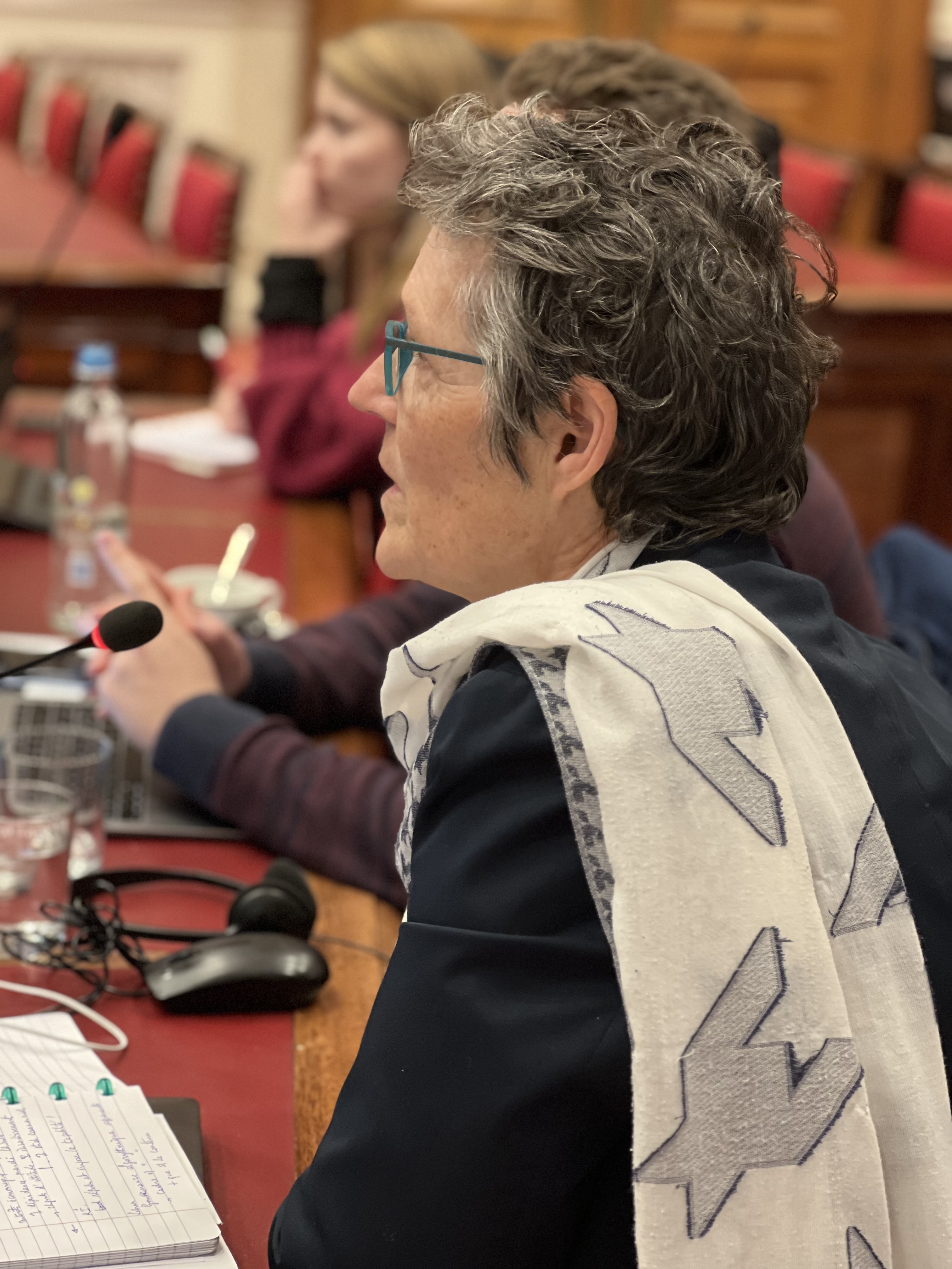  Hoorzitting over buitenlandse inmenging die de rechtsstaat ondermijnt