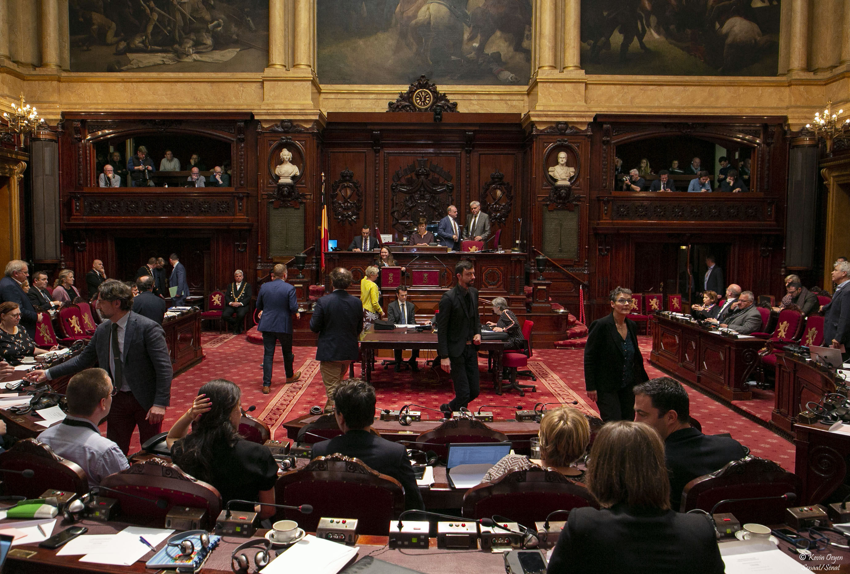 Plenaire vergadering van de Senaat op 17 januari 2020
