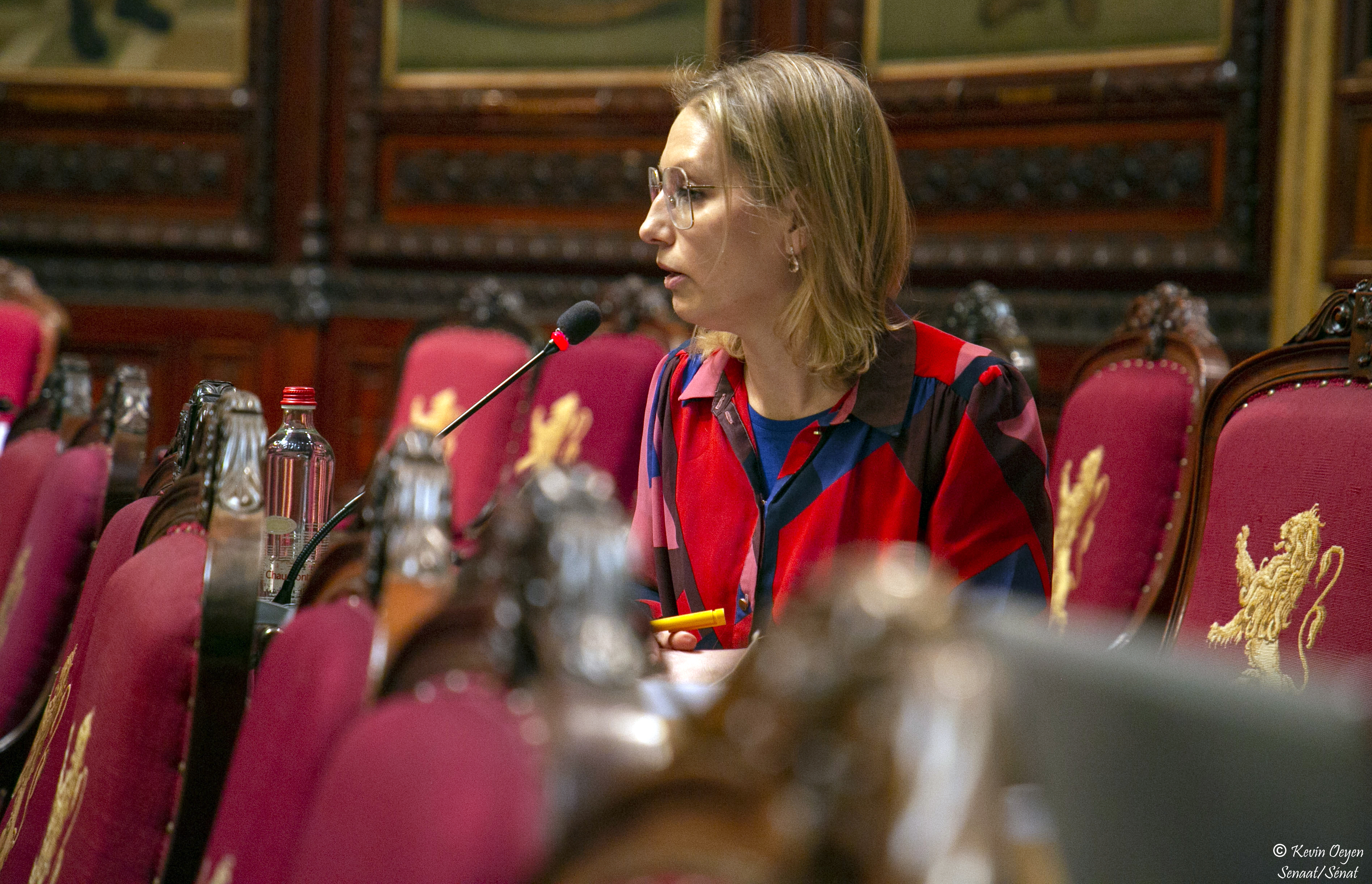  Actualiteitsdebat in de Senaat over de loonkloof
