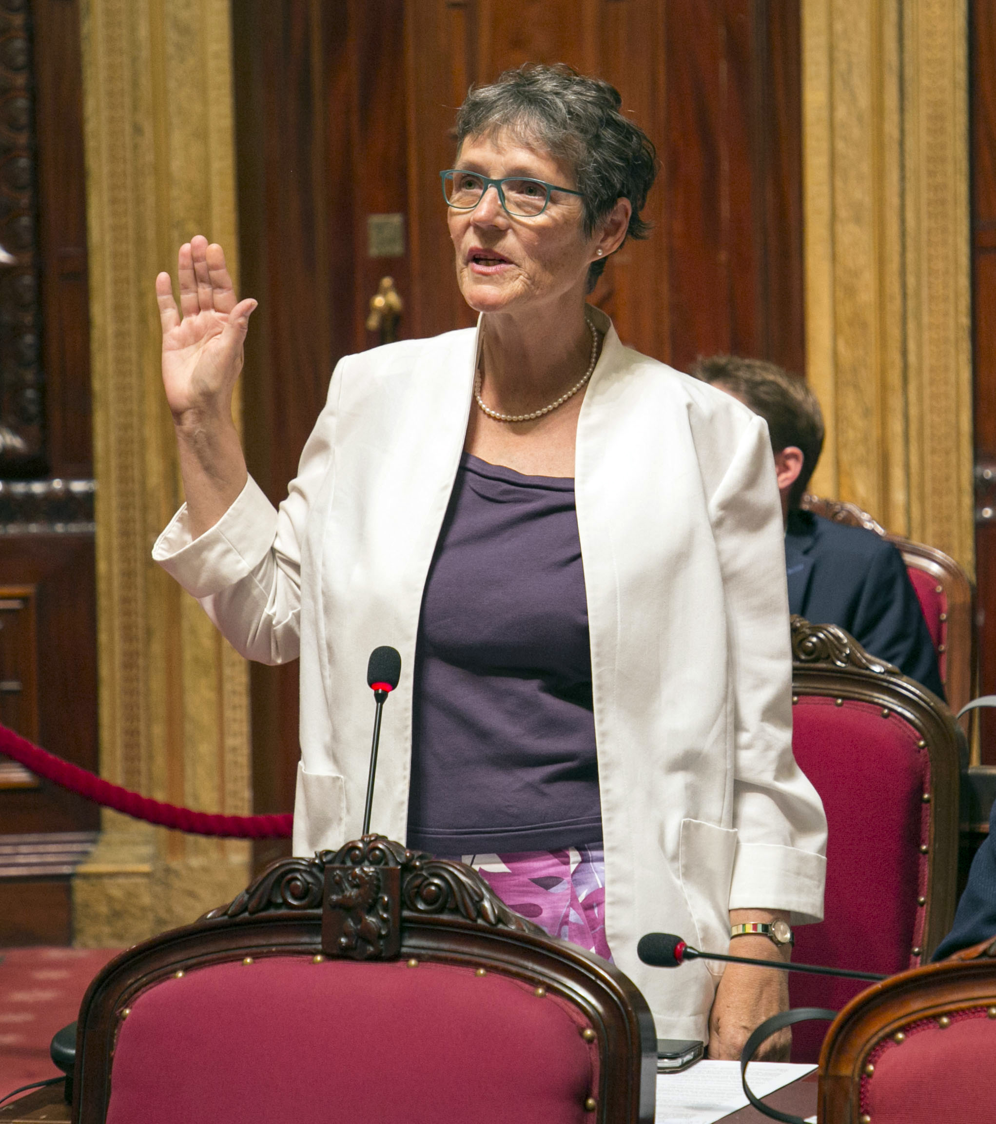  49 nieuwe deelstaatsenatoren