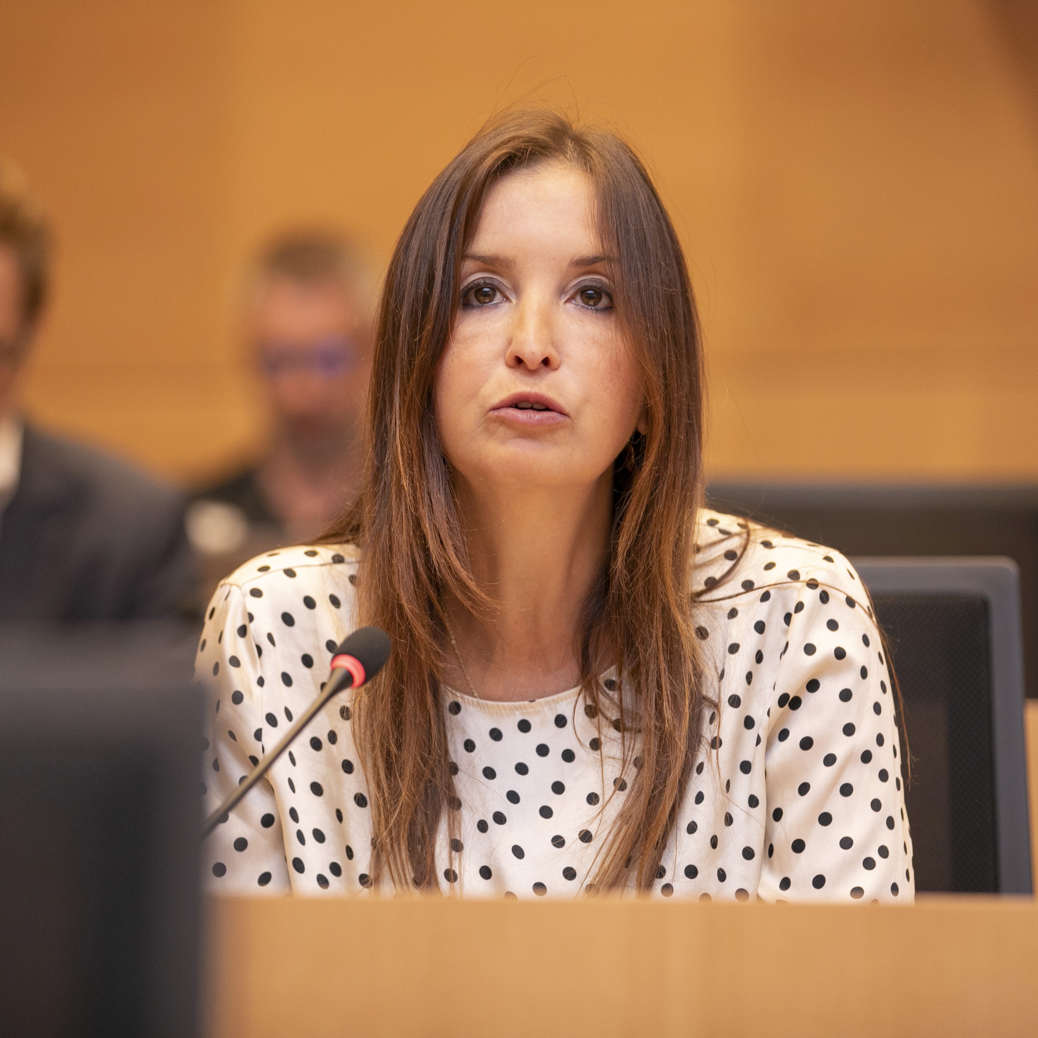  Gedachtewisseling met de premier over verschillende Europese toppen