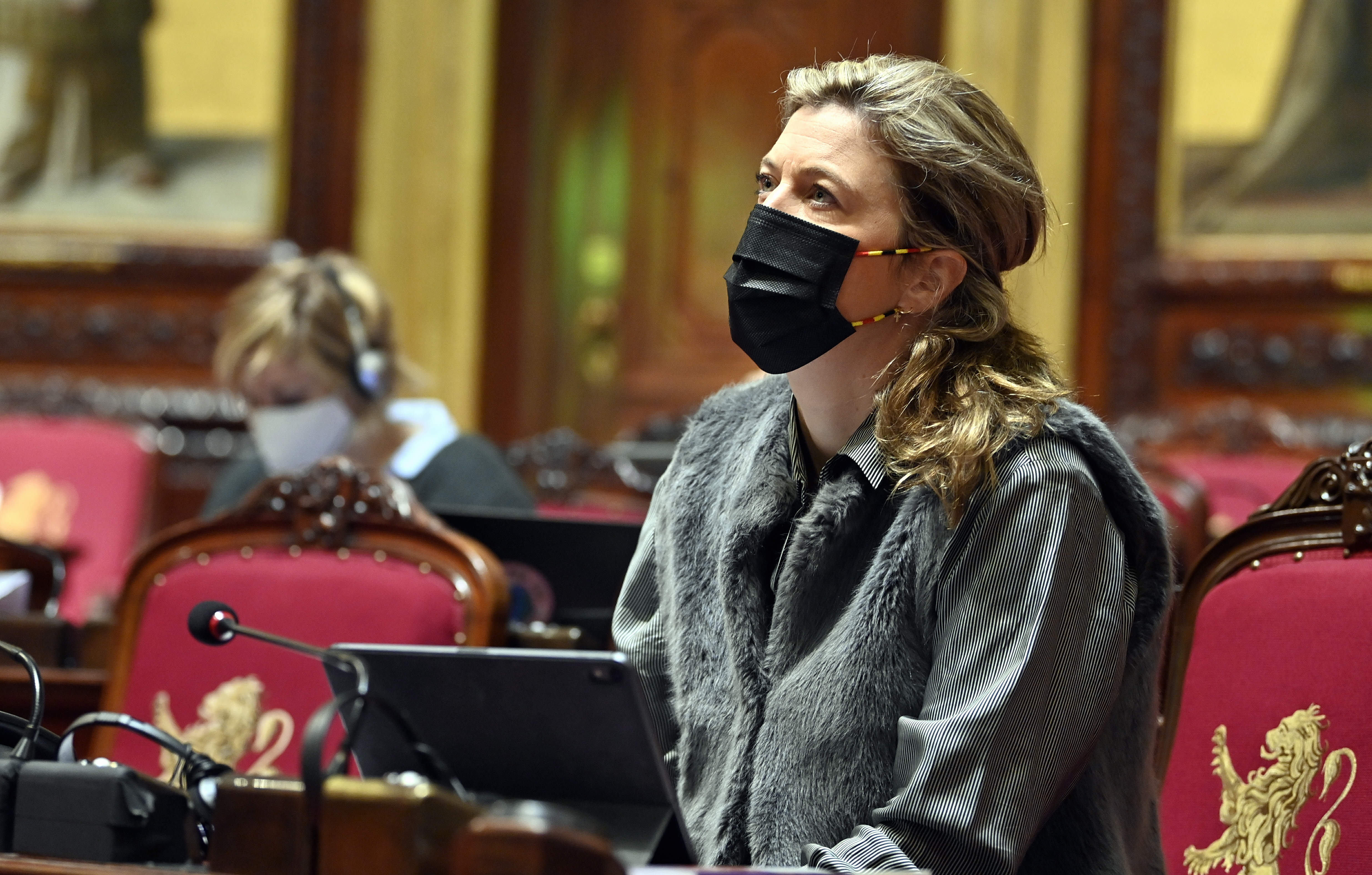  De Senaat amendeert het wetsontwerp over de financiering van de politieke partijen