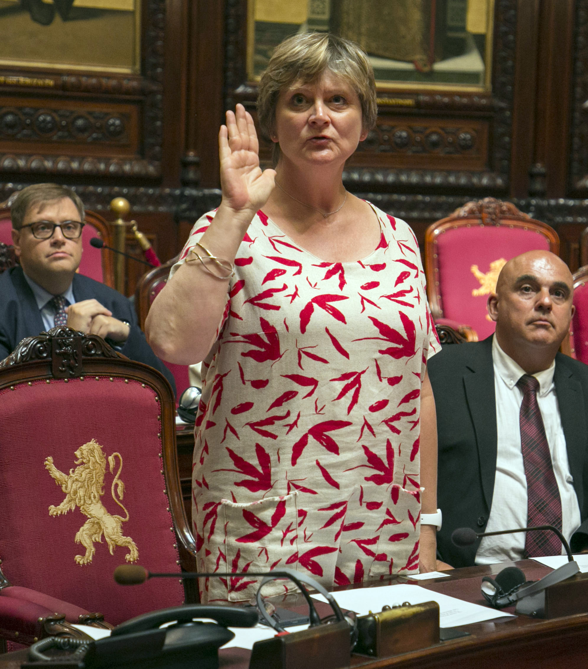 49 nieuwe deelstaatsenatoren