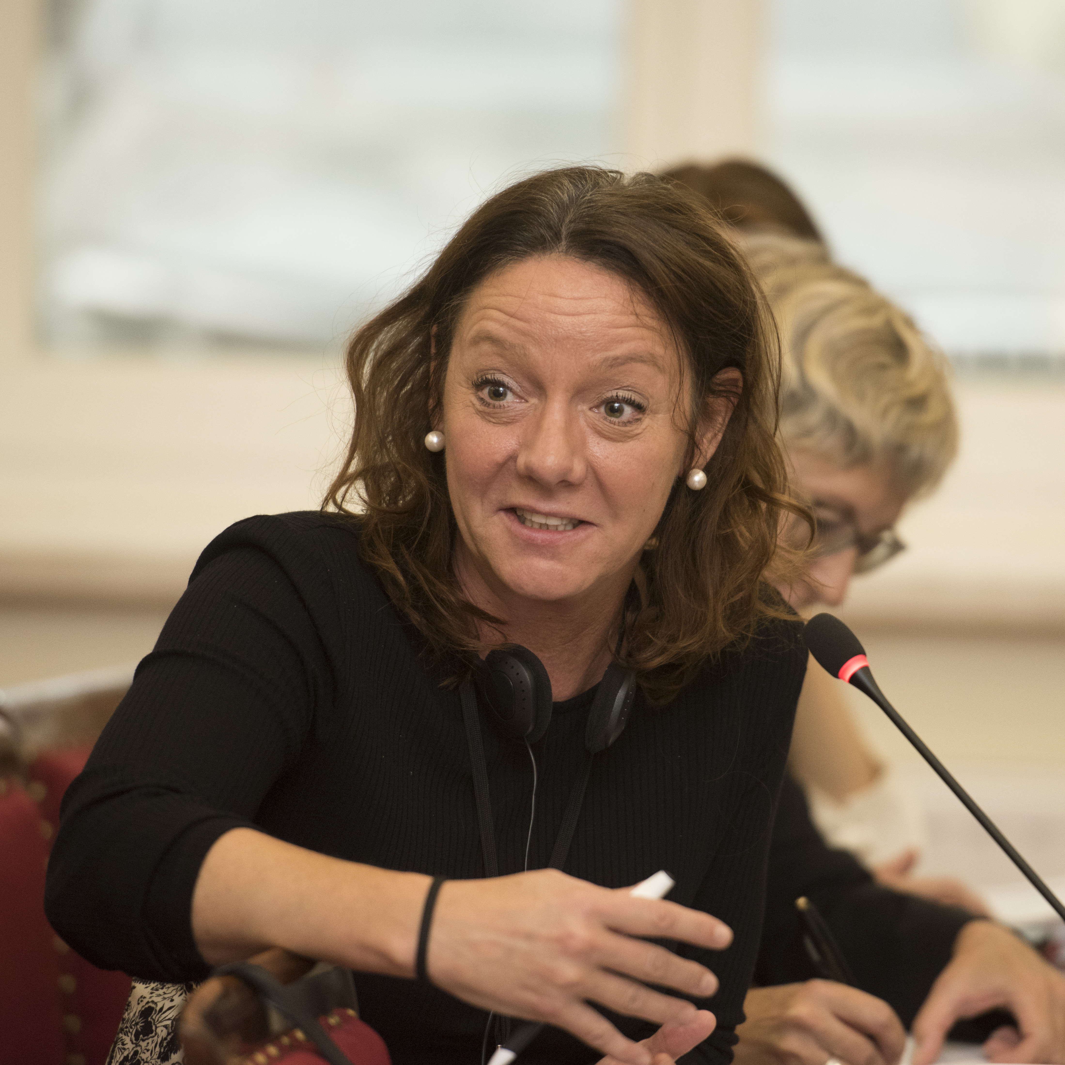  Échange de vues avec une délégation parlementaire de Suède