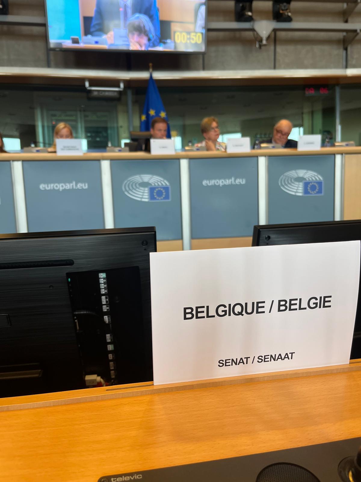  Réunion de commission interparlementaire sur la réforme de l’UE en vue de l’élargissement