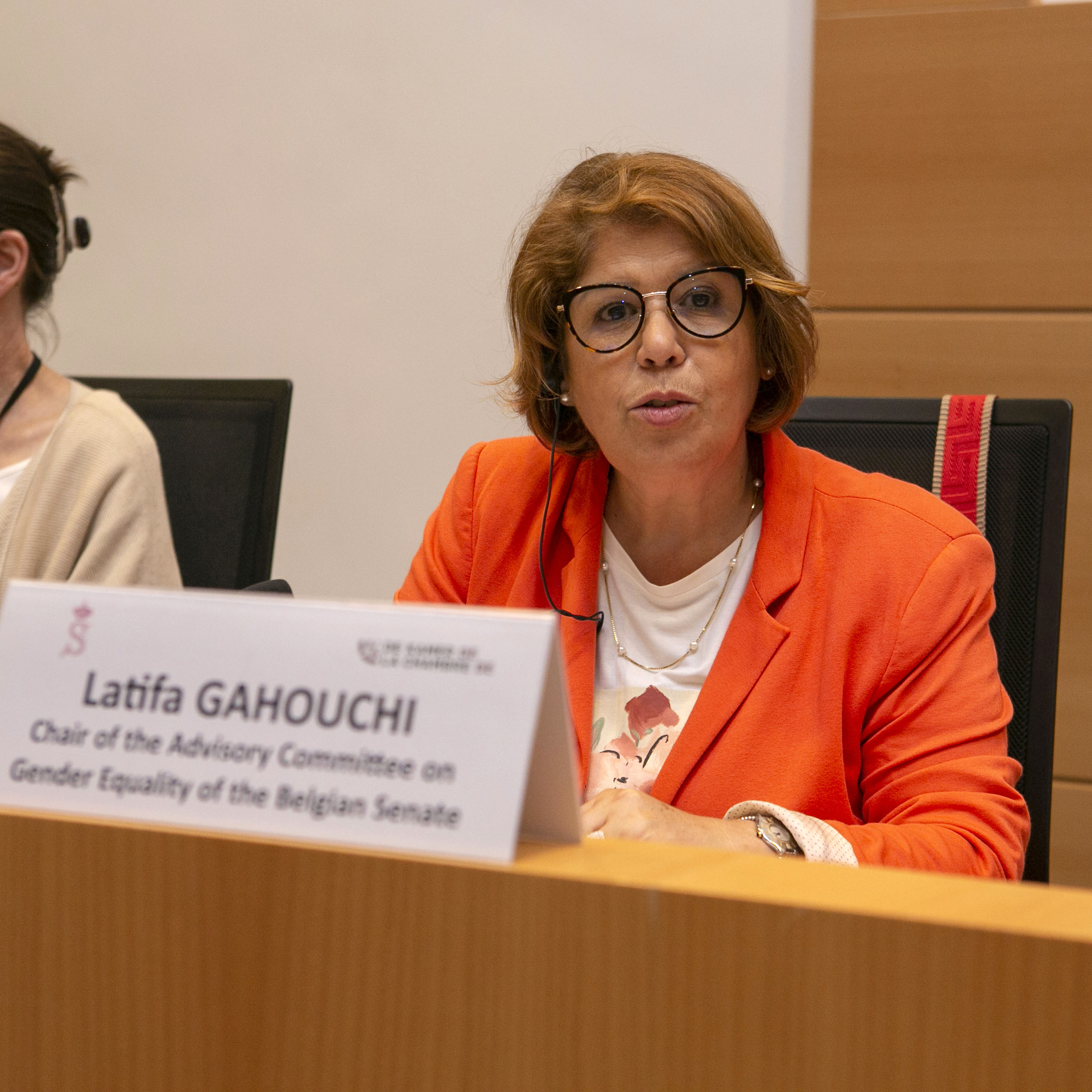  Videoconferentie over genderbewuste parlementen