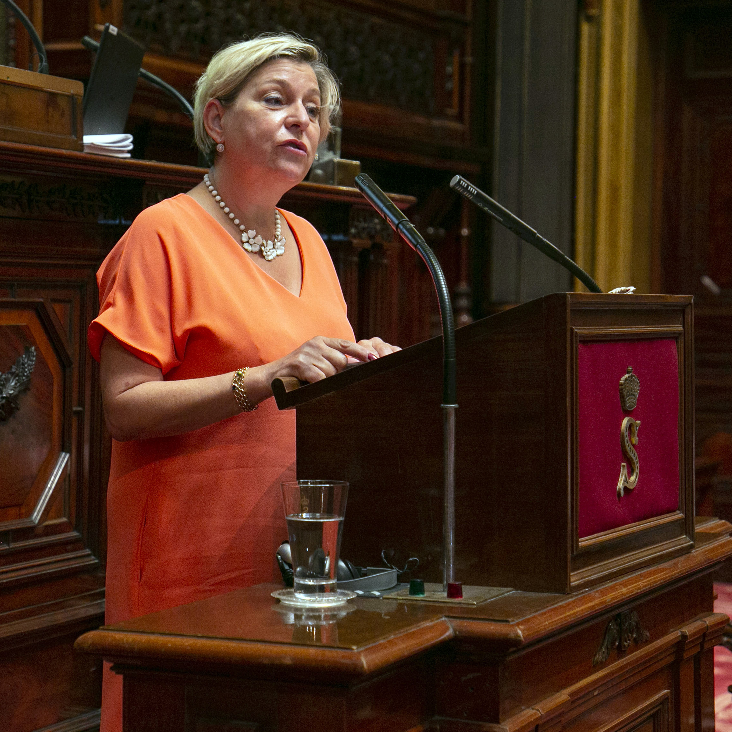  Le Sénat vote le rapport d'information sur une participation accrue des citoyens au système démocratique