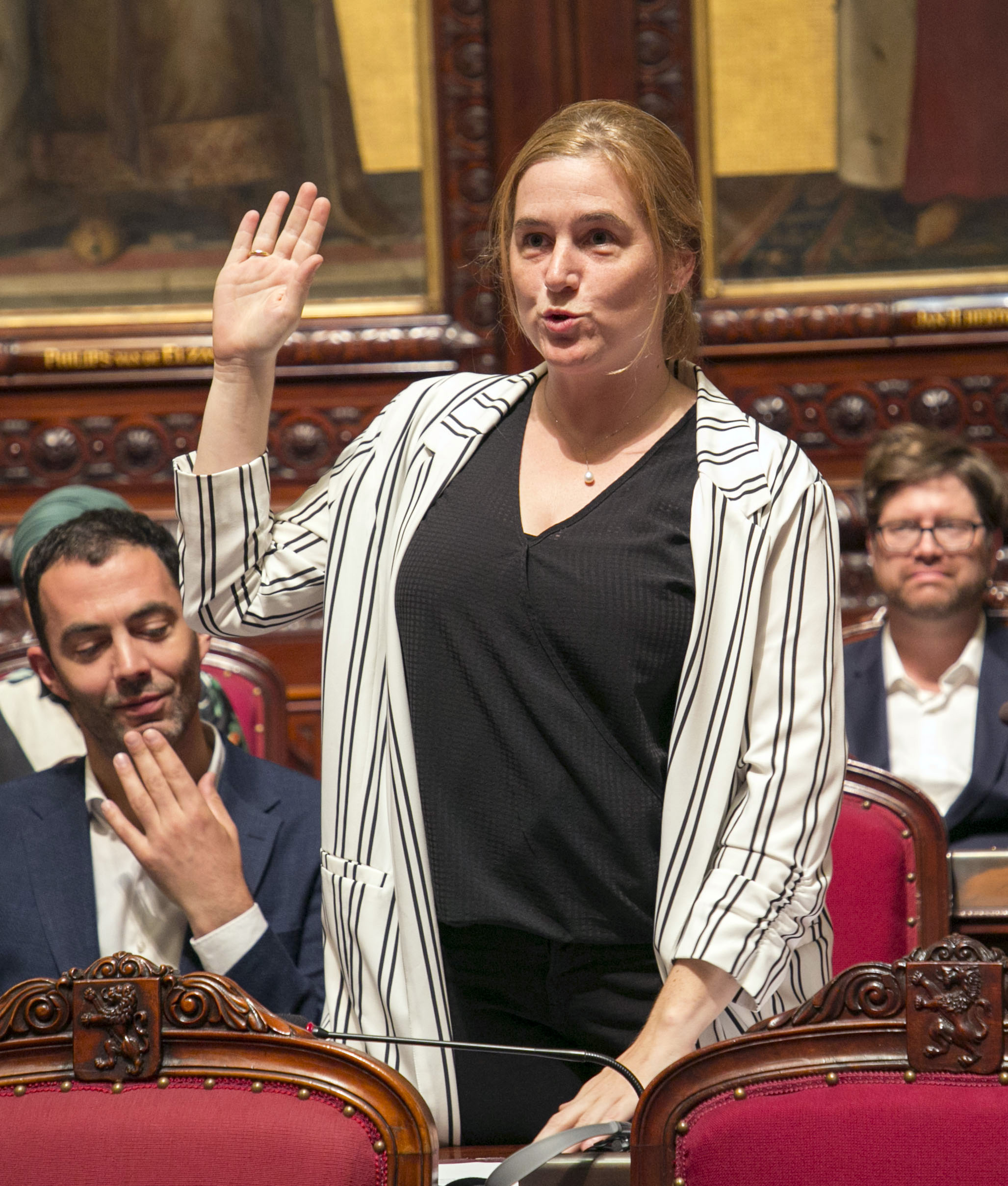  49 nieuwe deelstaatsenatoren